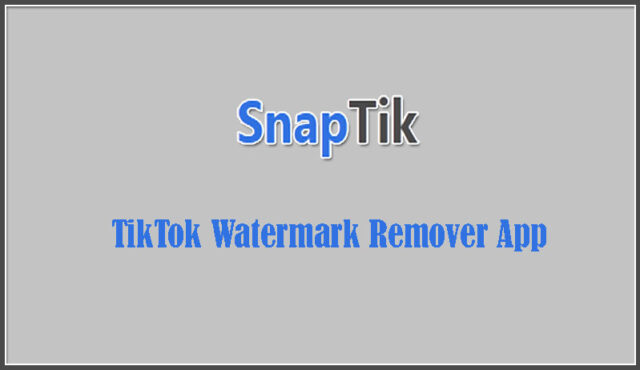 SnapTik tiktok watermark remover app